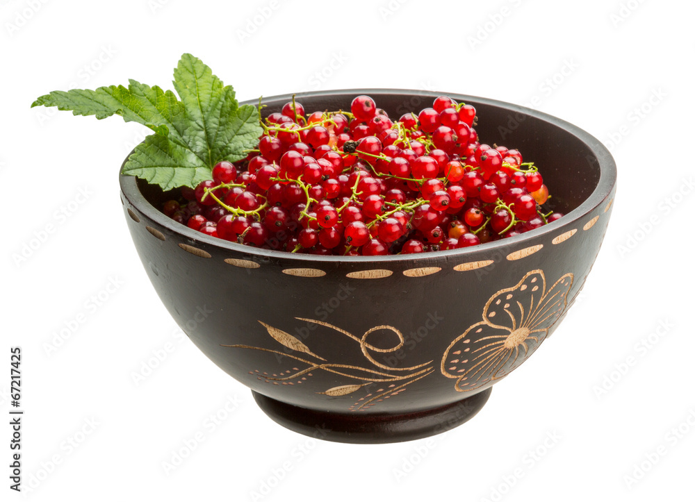 Red currant Red currant