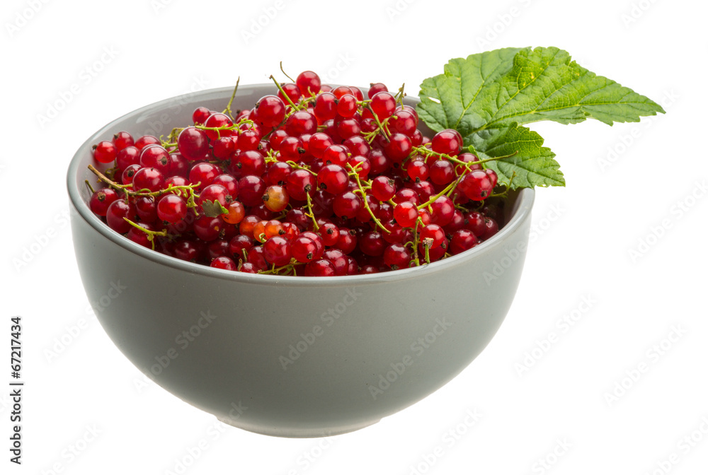 Red currant Red currant