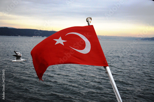 Turkish Flag and Seagull