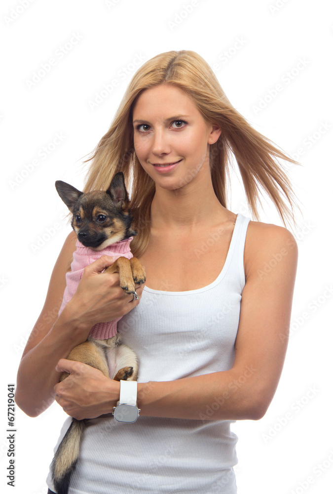 happy woman hold in hands small Chihuahua dog or puppy