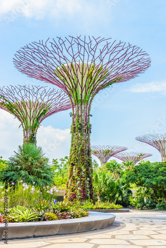 Photography Garden by the bay