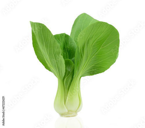 vegetables green pakchoi isolated on white background