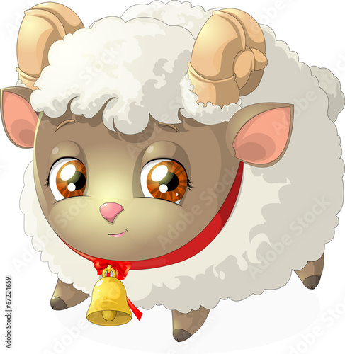 sheep