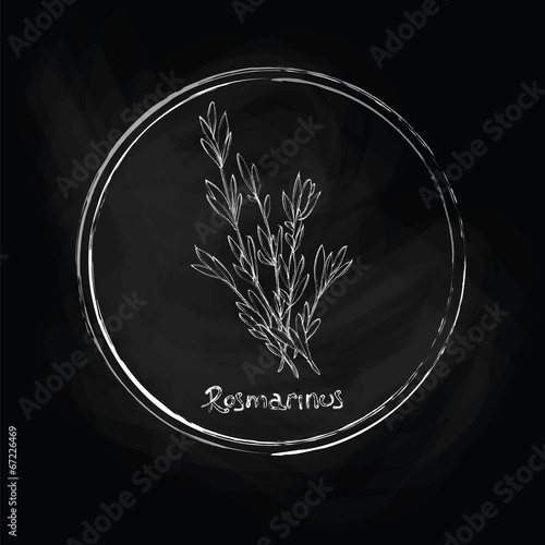 Dark rosemary