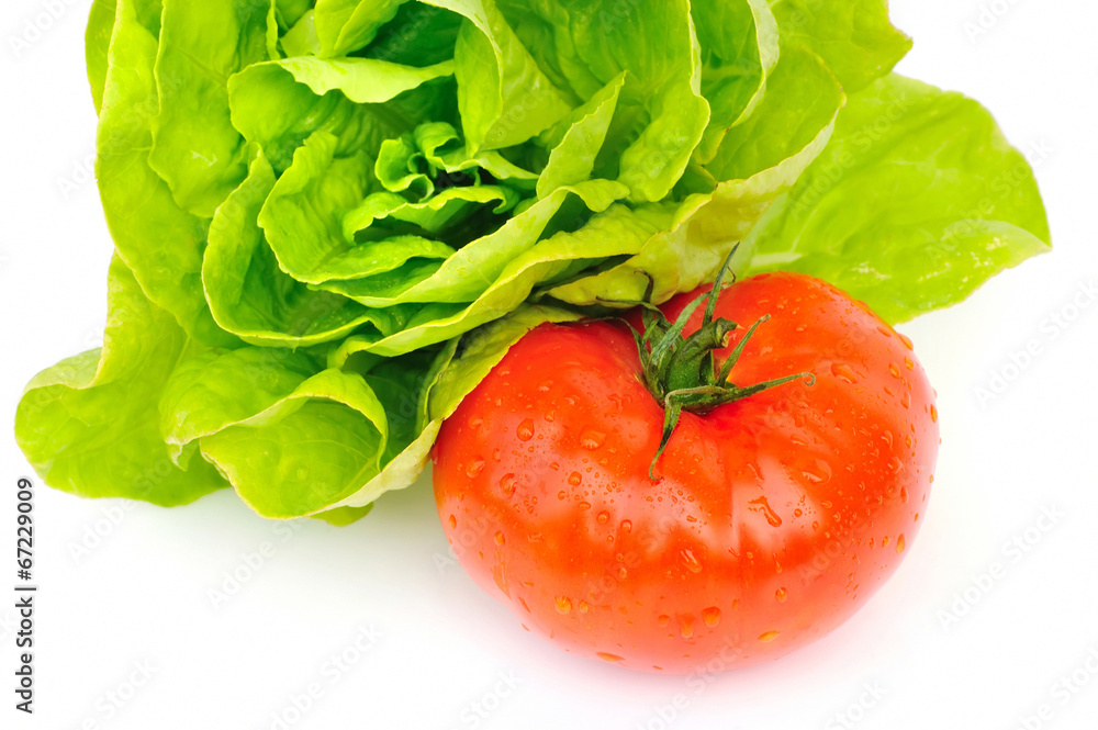 Fresh tomato and green salad isolated on white background Fresh tomato and green salad isolated on white background