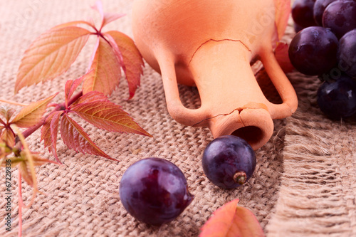 Vintage still life with the amphora, grape and vine