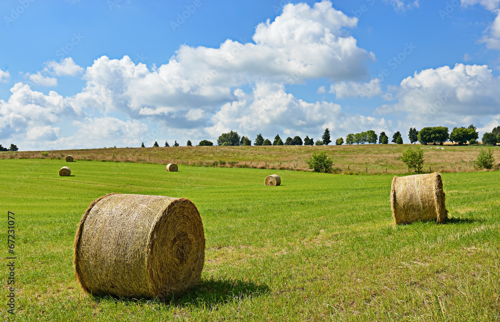 Typical agricultural landscape of Walloon, Belgium in summer
