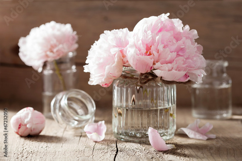 Fototapeta Naklejka Na Ścianę i Meble -  beautiful pink peony flowers bouquet in vase