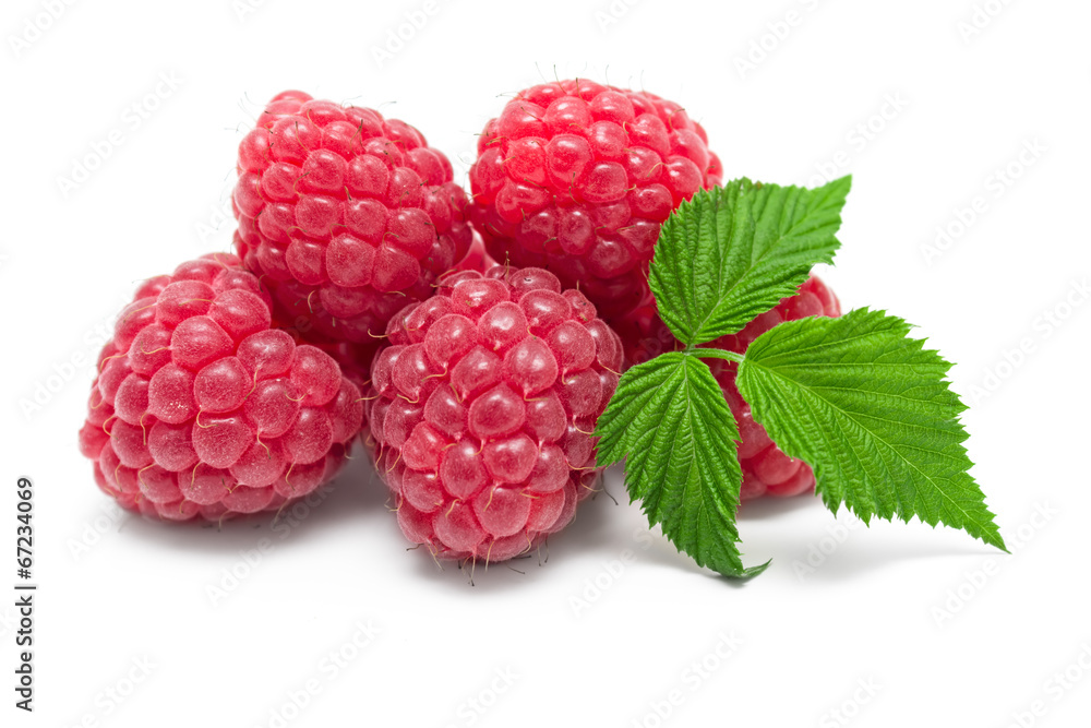 Ripe red raspberries, leaf, composition on white Ripe red raspberries, leaf, composition on white