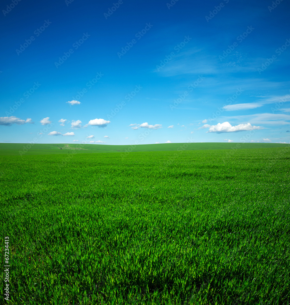 green field