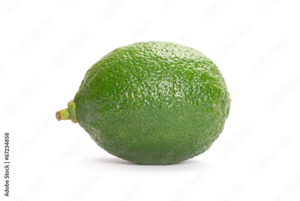 single lime on white background single lime on white background