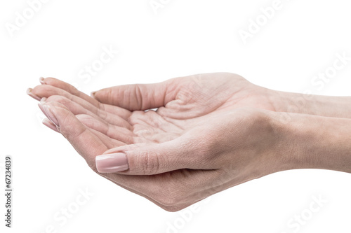 hands of young woman - isolated on white background