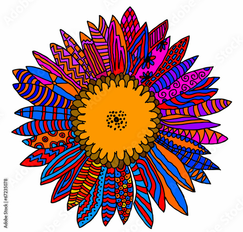 girasole multicolore