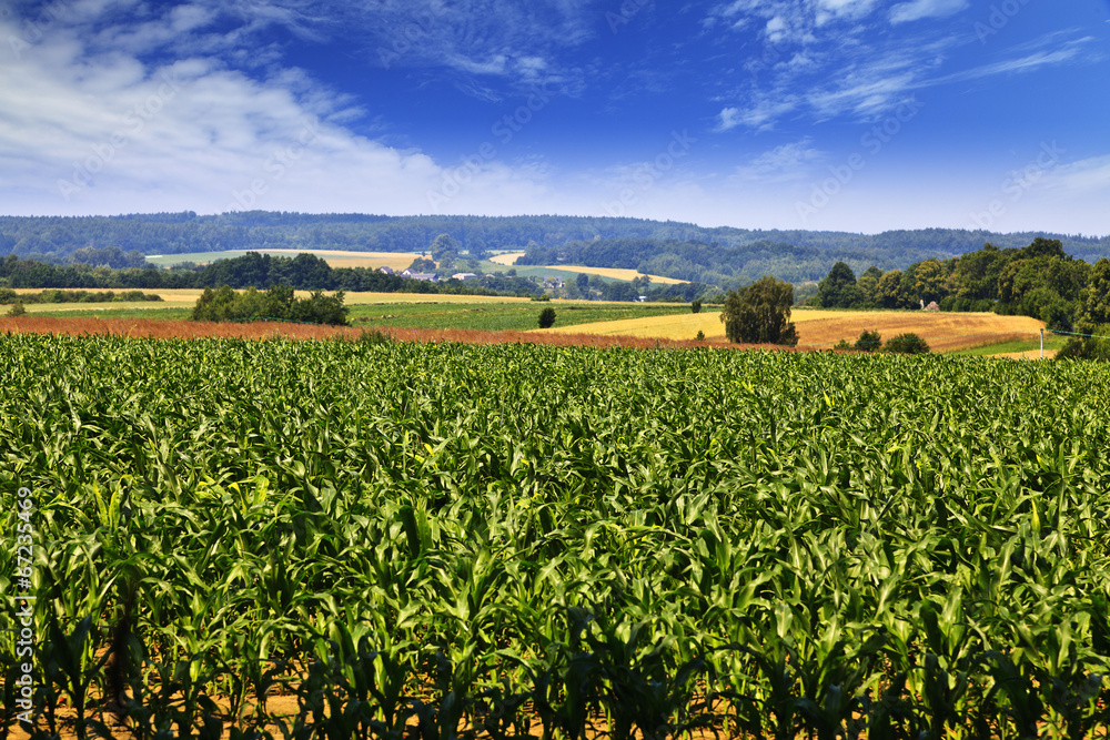 Farmlands in Kashuby Farmlands in Kashuby