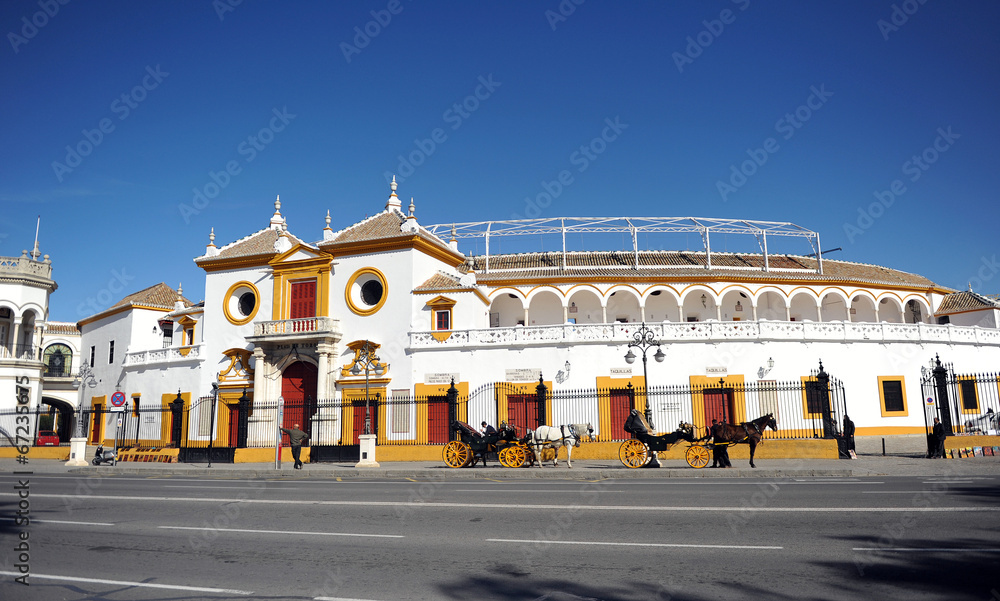 Fototapeta premium Bullring, Maestranza, Seville, Spain