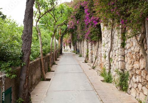 Fototapeta Naklejka Na Ścianę i Meble -  Via Tragara, the famous street of Capri