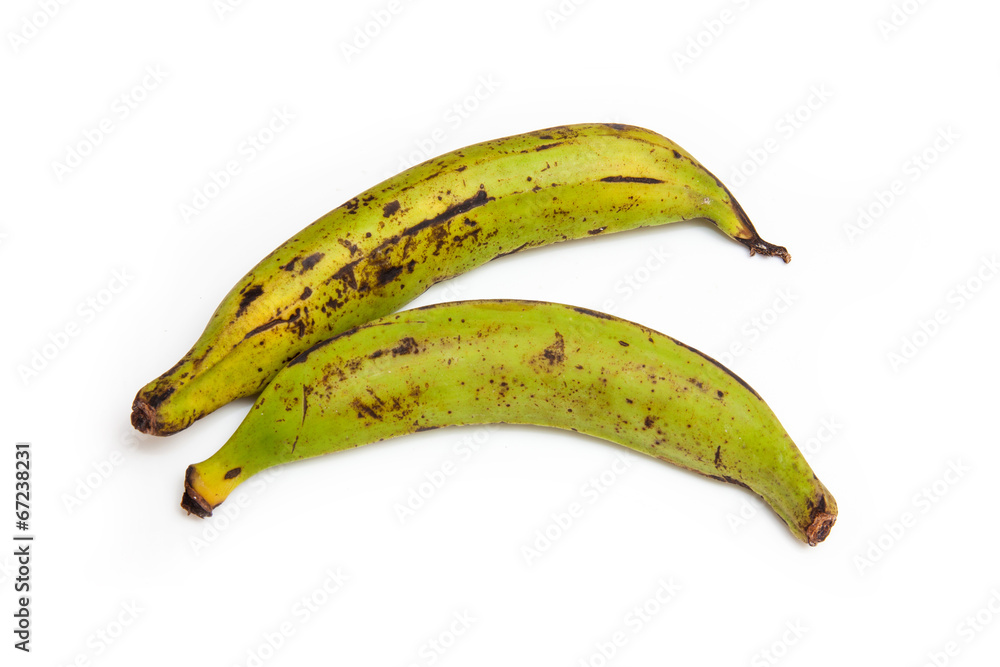 .Plantain bananas isolated on a white background .Plantain bananas isolated on a white background