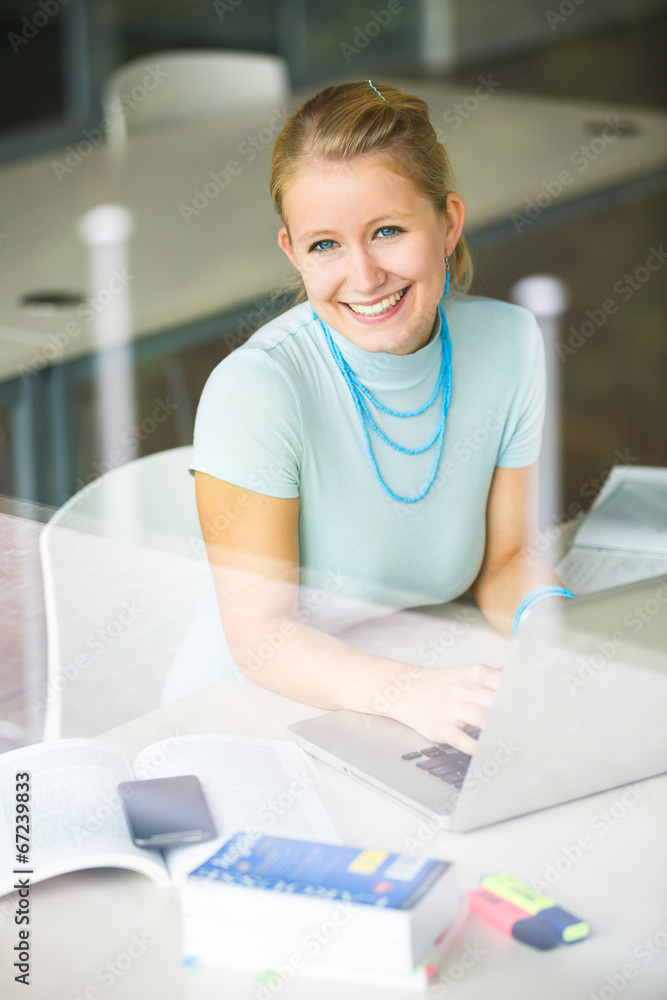 In the library - female student with books, papers and laptop In the library - female student with books, papers and laptop