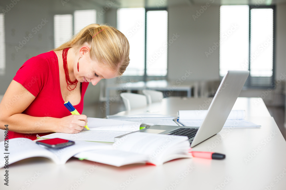 In the library - female student with books, papers and laptop In the library - female student with books, papers and laptop