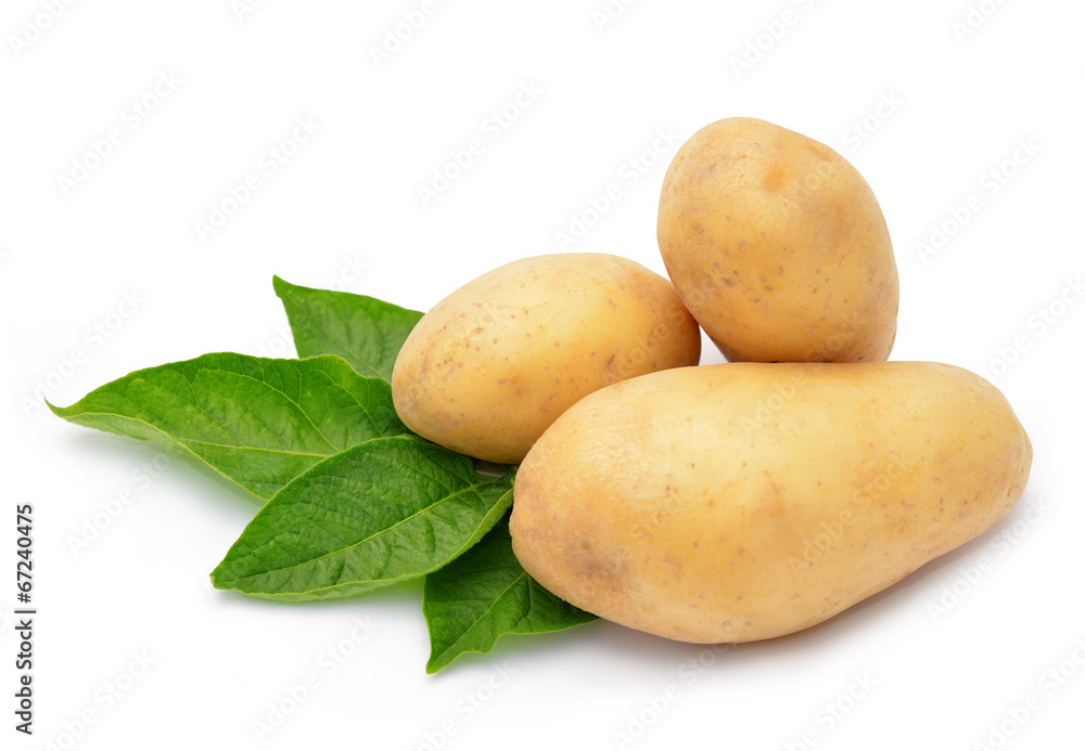potato isolated on white background potato isolated on white background