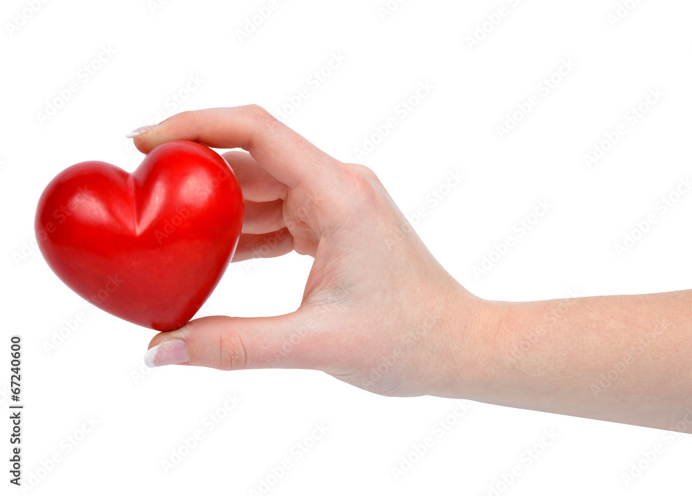 heart in hand isolated on white