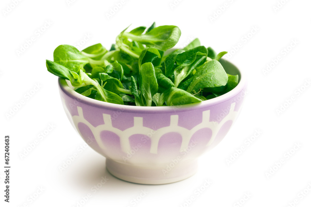 corn salad, lamb's lettuce in ceramic bowl corn salad, lamb's lettuce in ceramic bowl
