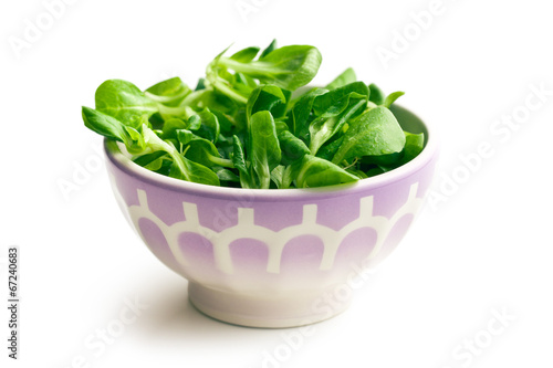 corn salad, lamb's lettuce in ceramic bowl