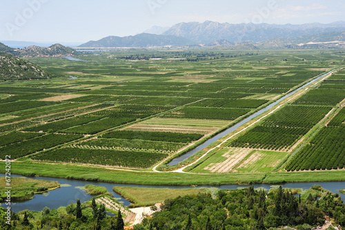 Agricultural crops along the river Neretvi photo