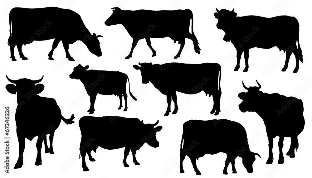 custom made wallpaper toronto digitalcow silhouettes