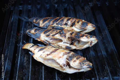 Three Snapper Fish Barbequed on a Grill