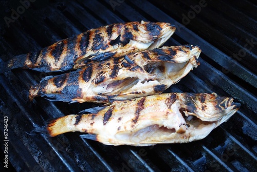 Fresh Pink Snapper Cooked on a Grill