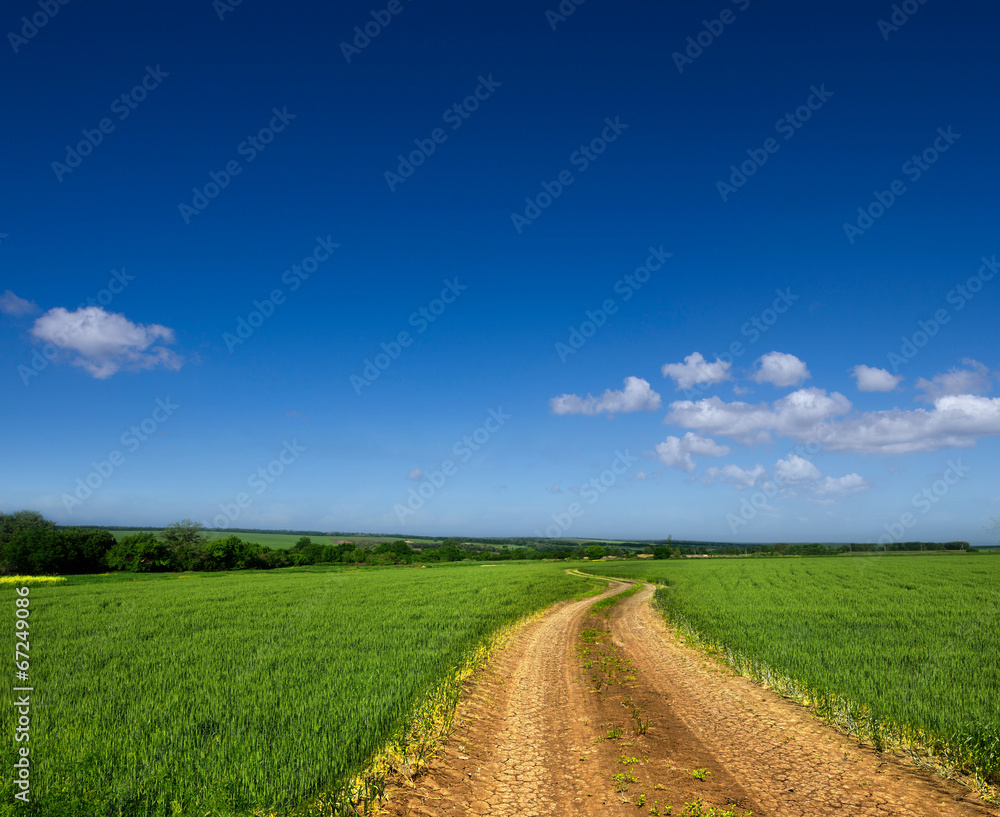 Country road through a green field