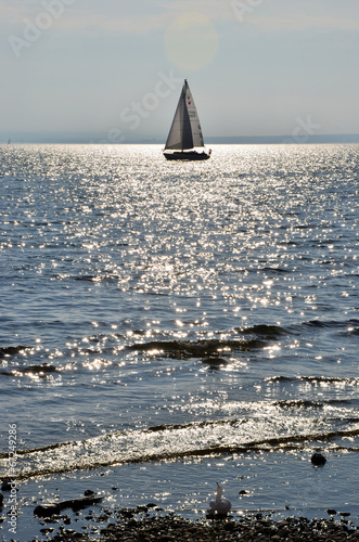 Segelboot photo