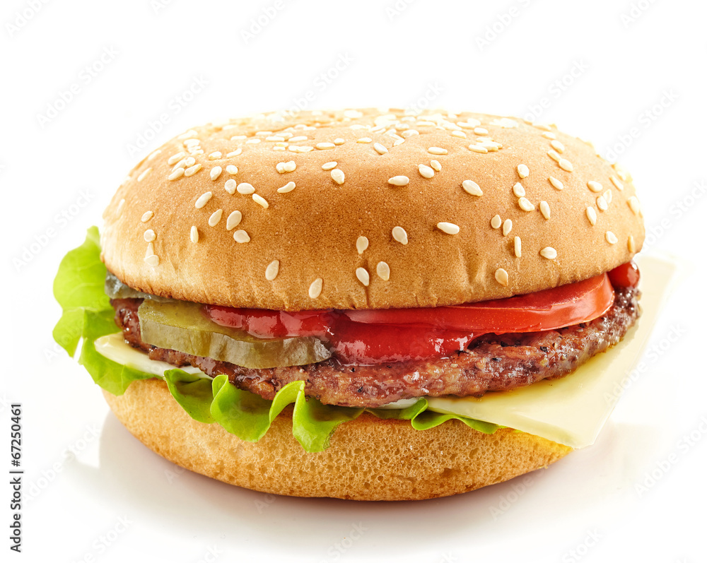burger on a white background burger on a white background