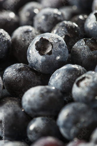Fresh Organic Raw Blueberries
