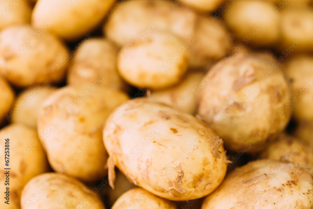 Fresh organic young raw potatoes for selling at vegetable market Fresh organic young raw potatoes for selling at vegetable market