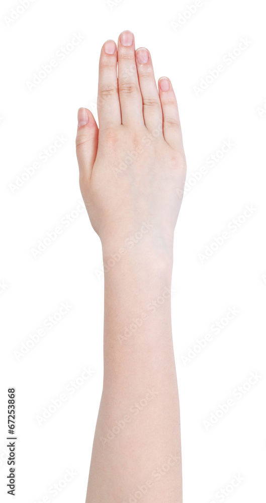 hand gesture isolated on white background hand gesture isolated on white background