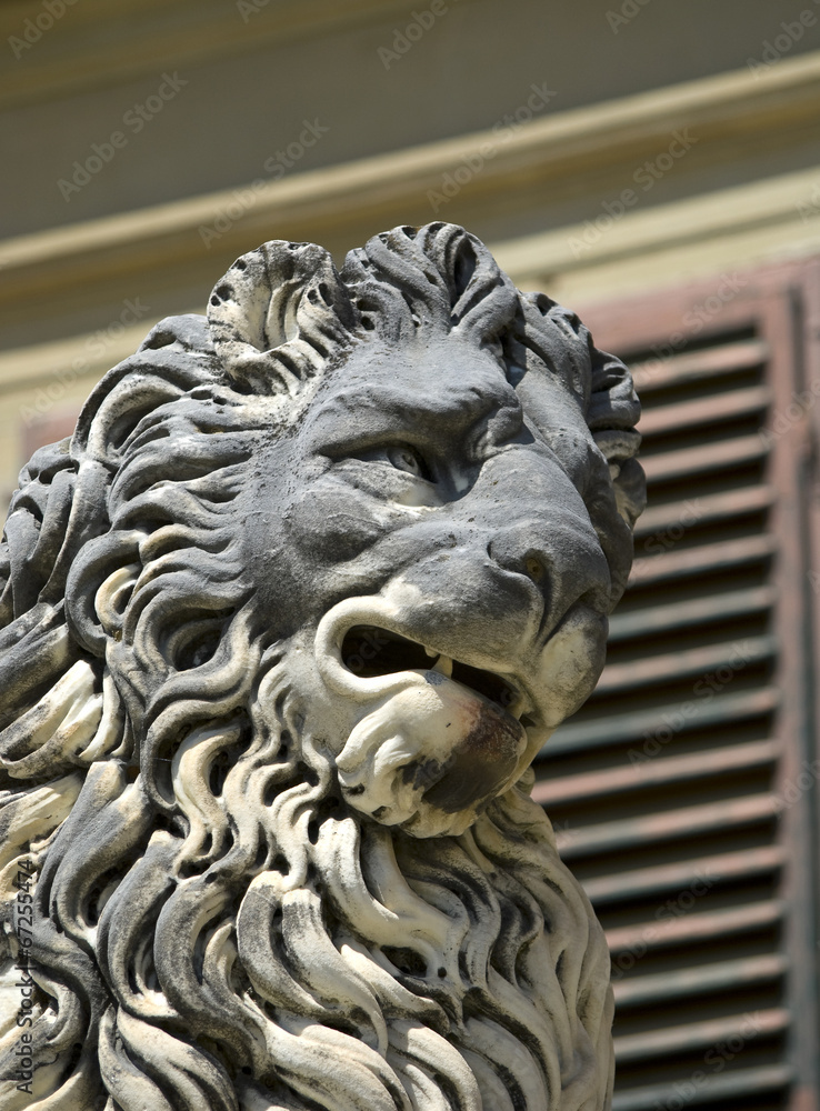 Florentine lion