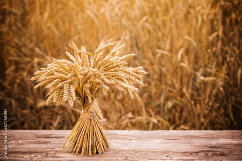 sheaf on wooden table on background field photo