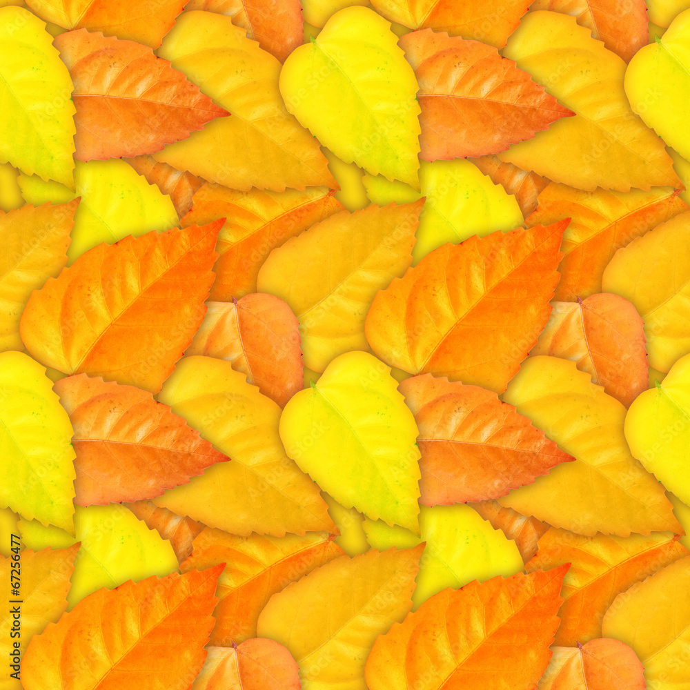 Camouflage seamless background with natural foliage Camouflage seamless background with natural foliage