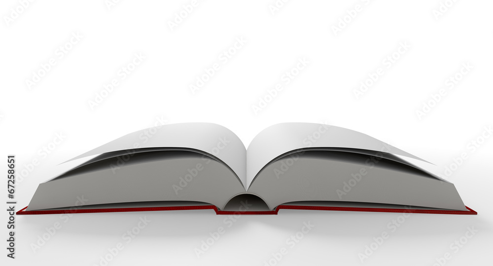 Fototapeta premium Blank Paged Book Open