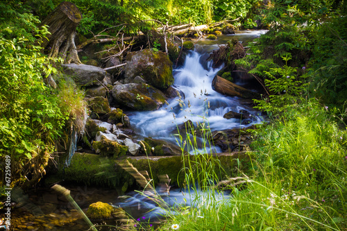 Beautiful waterfall landscape  Ukrainian Carpathian  