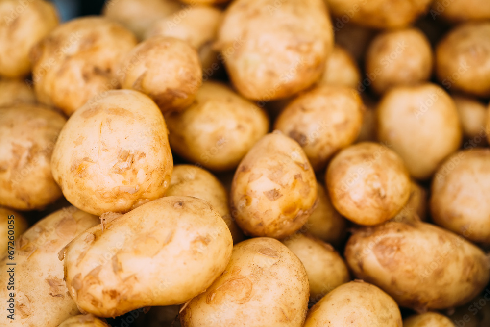 Fresh organic young raw potatoes for selling at vegetable market Fresh organic young raw potatoes for selling at vegetable market