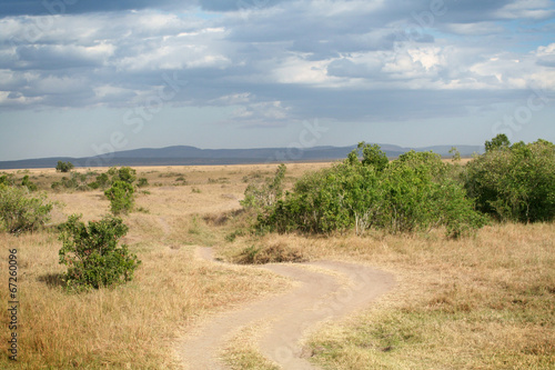 Chemin dans la savane