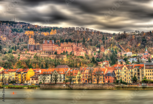 View of Heidelberg with the castle, Baden-Wurttemberg - Germany
