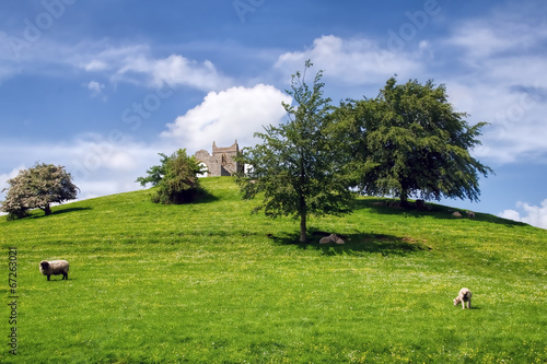 Burrow Mump - Somerset