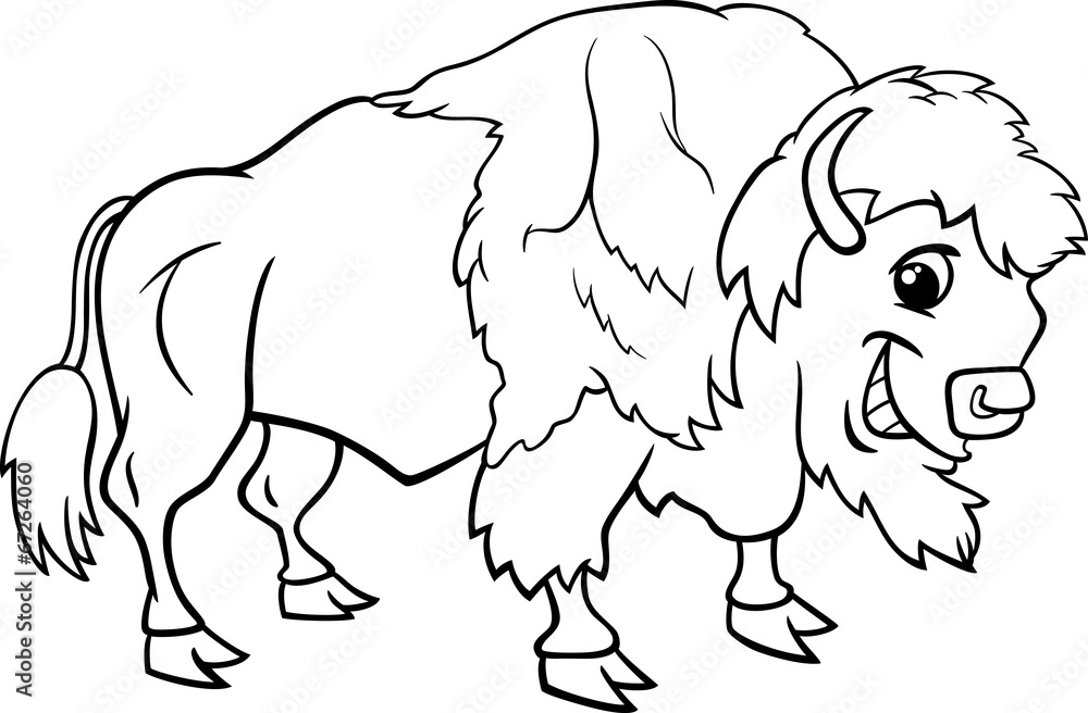bison american buffalo coloring page bison american buffalo coloring page