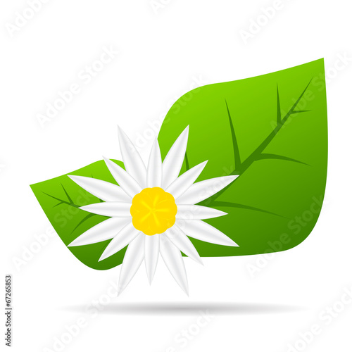 Abstract Colorful Flowers. Vector Illustration