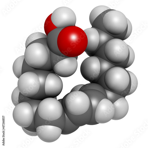Rumenic acid (bovinic acid, conjugated linoleic acid, CLA) photo