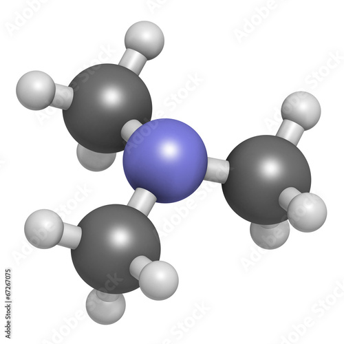 Trimethylamine volatile tertiary amine molecule. photo